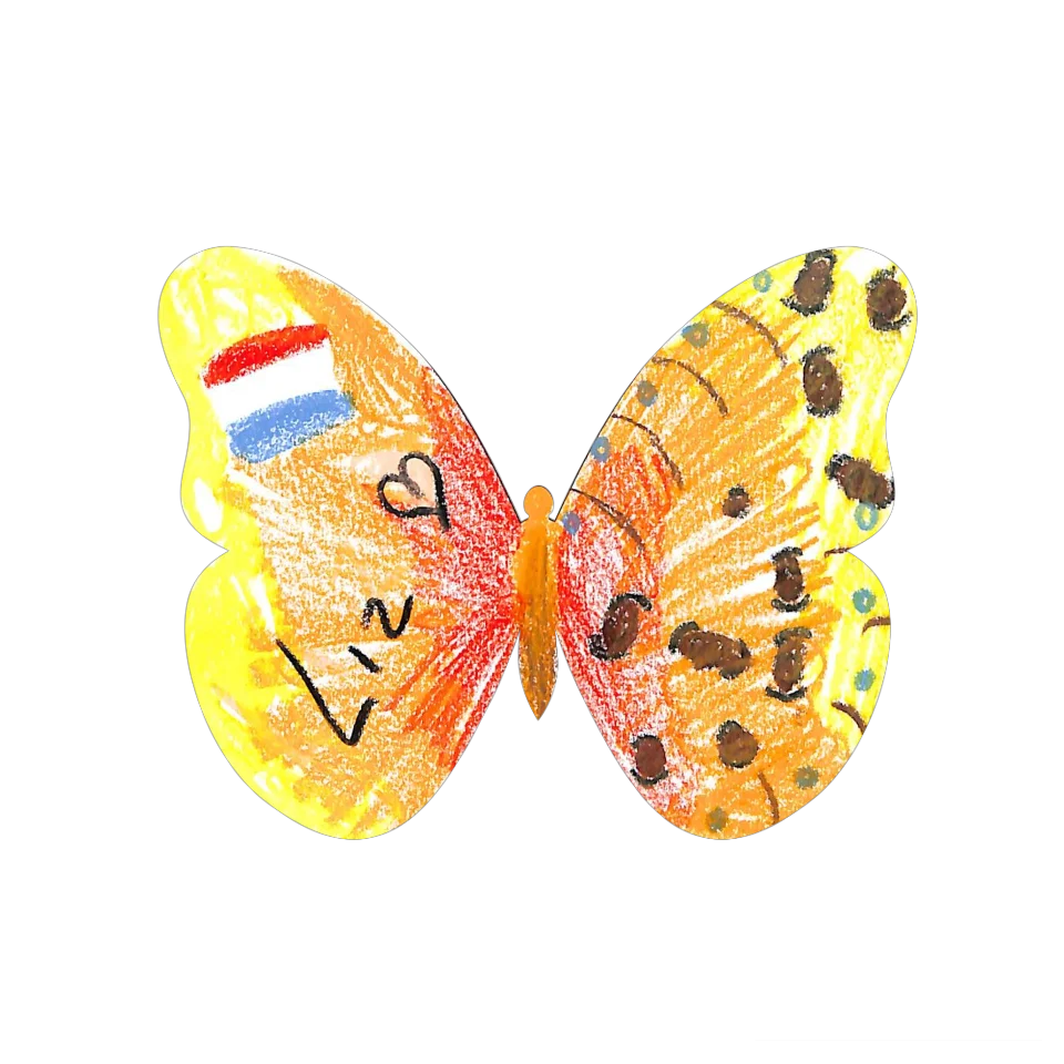 Original Butterfly Image