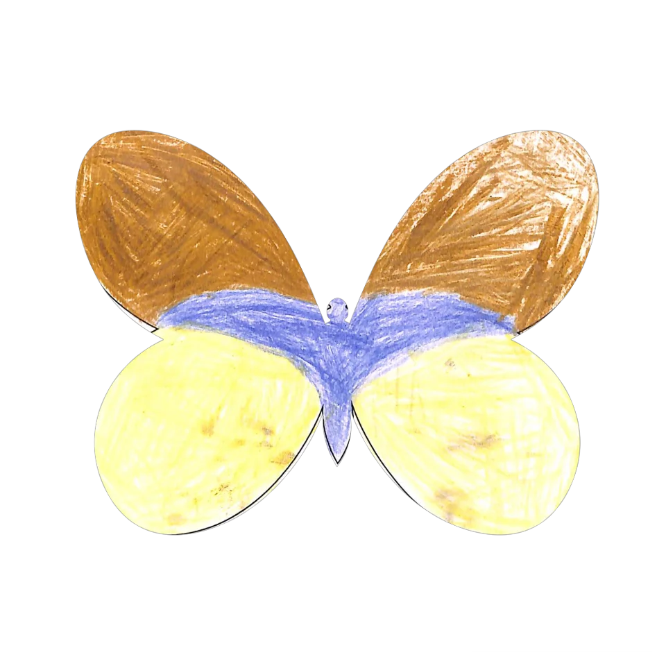 Original Butterfly Image