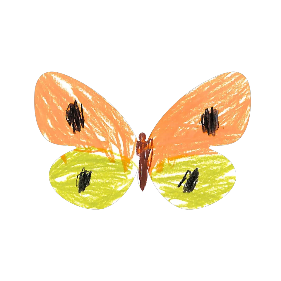 Original Butterfly Image