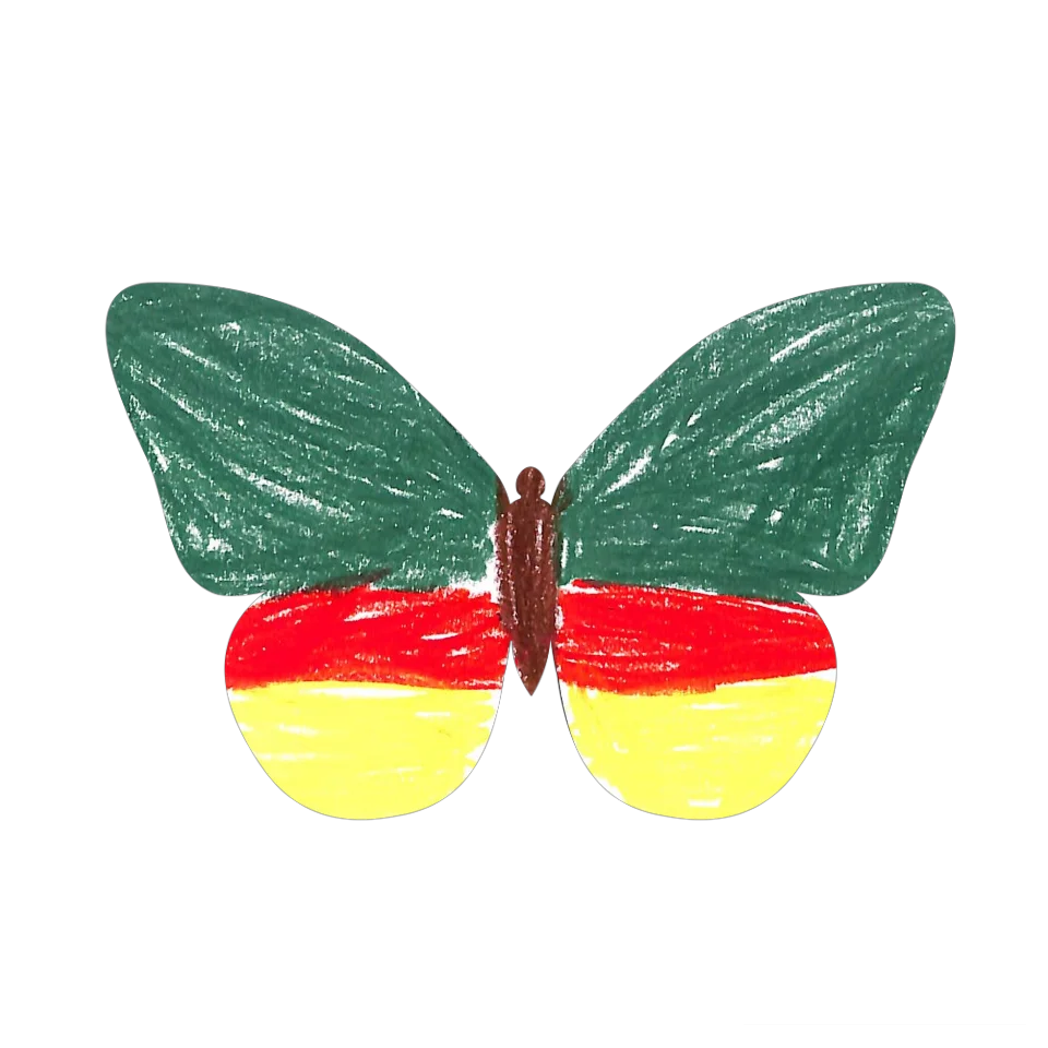 Original Butterfly Image