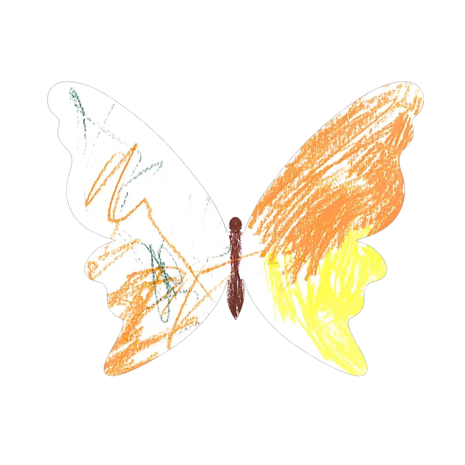 Original Butterfly Image