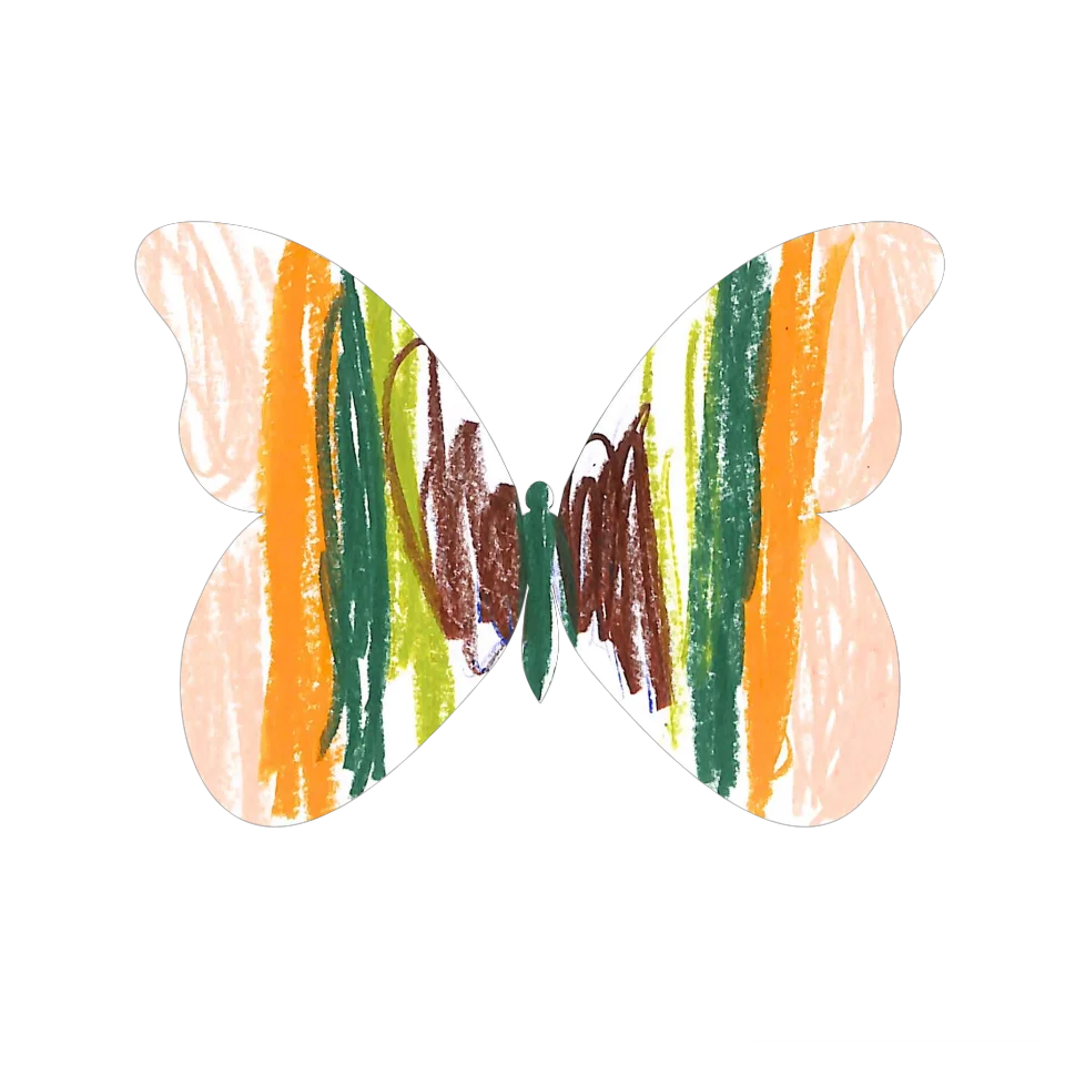 Original Butterfly Image