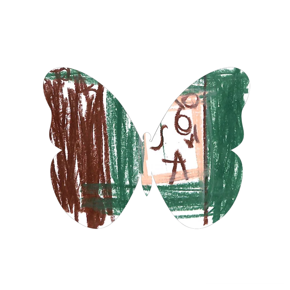 Original Butterfly Image