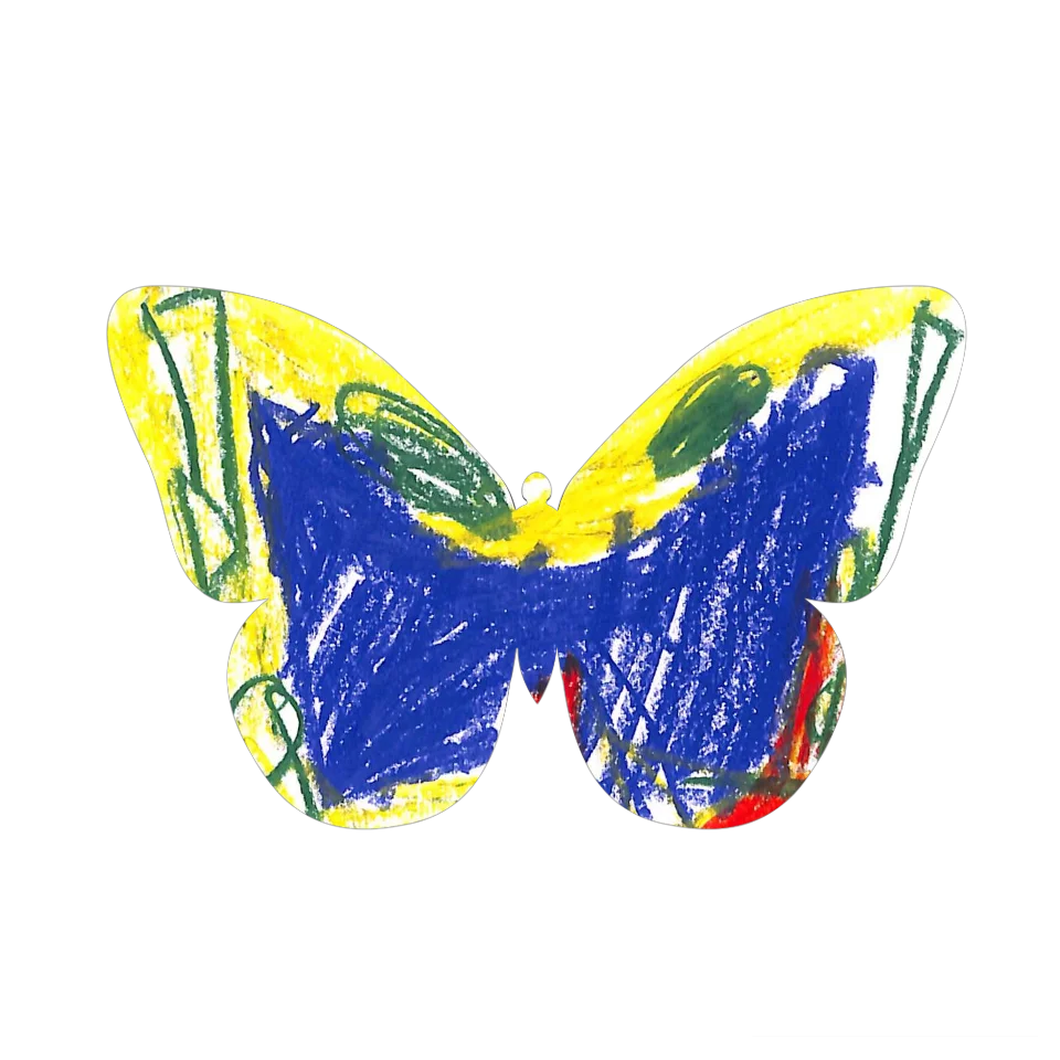 Original Butterfly Image