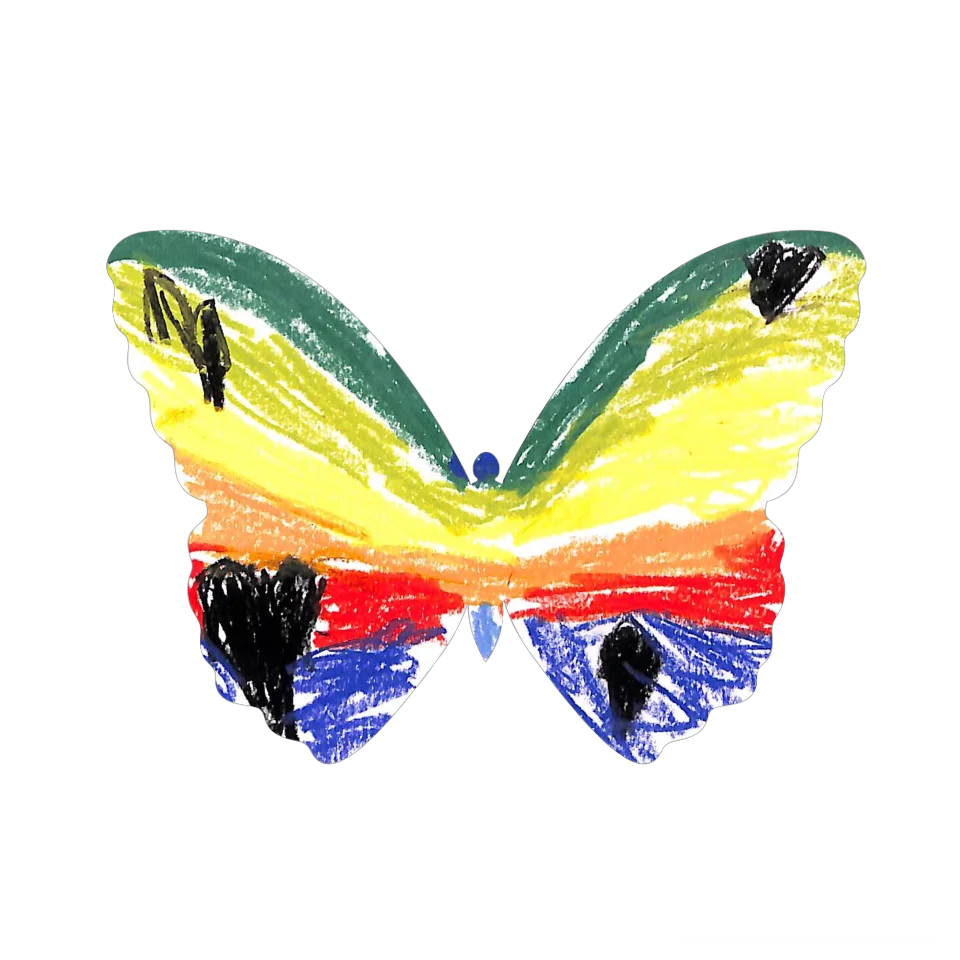 Original Butterfly Image