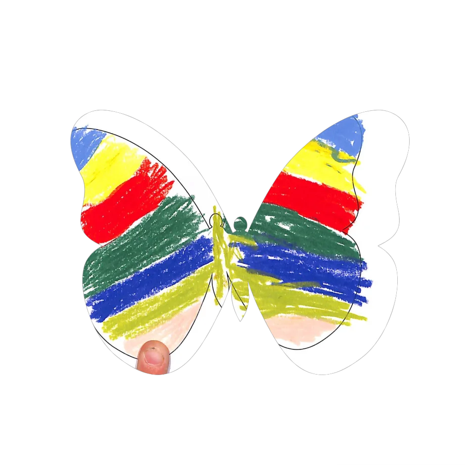 Original Butterfly Image