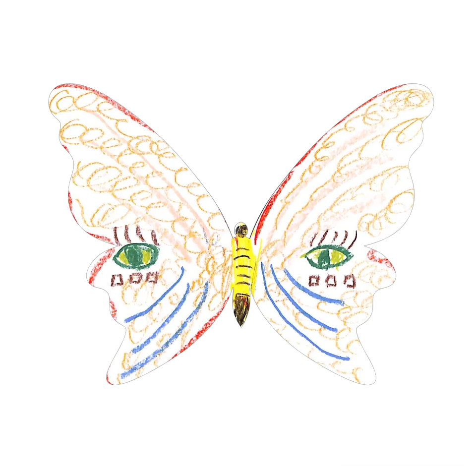 Original Butterfly Image