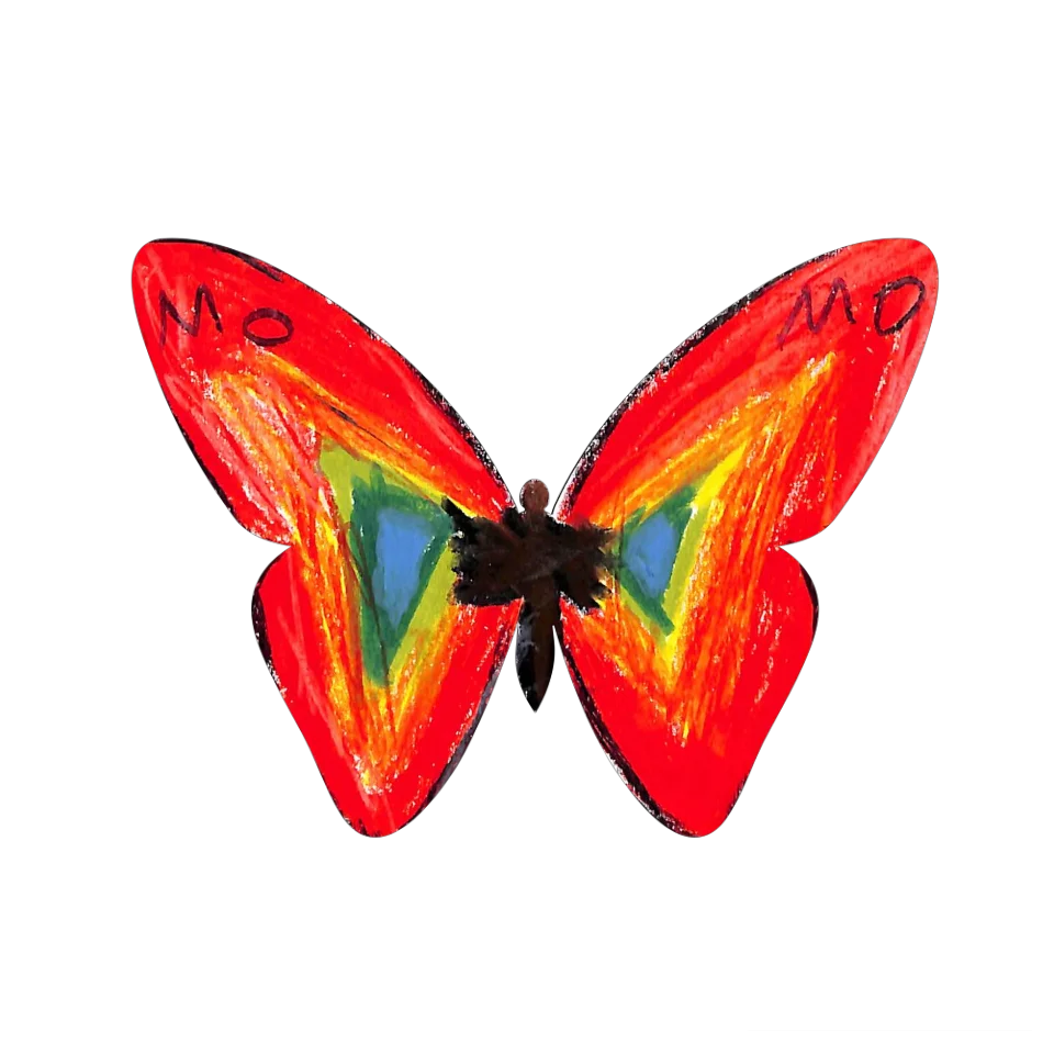 Original Butterfly Image