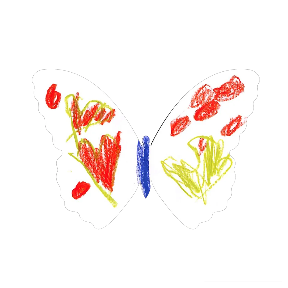 Original Butterfly Image