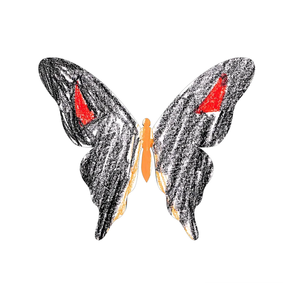Original Butterfly Image