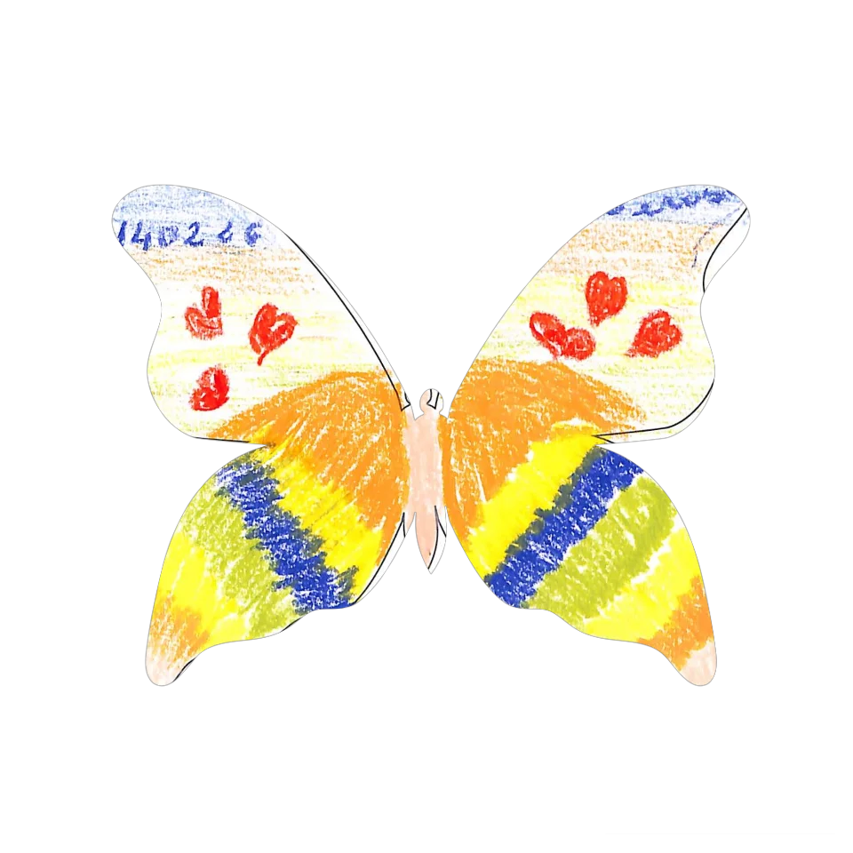 Original Butterfly Image