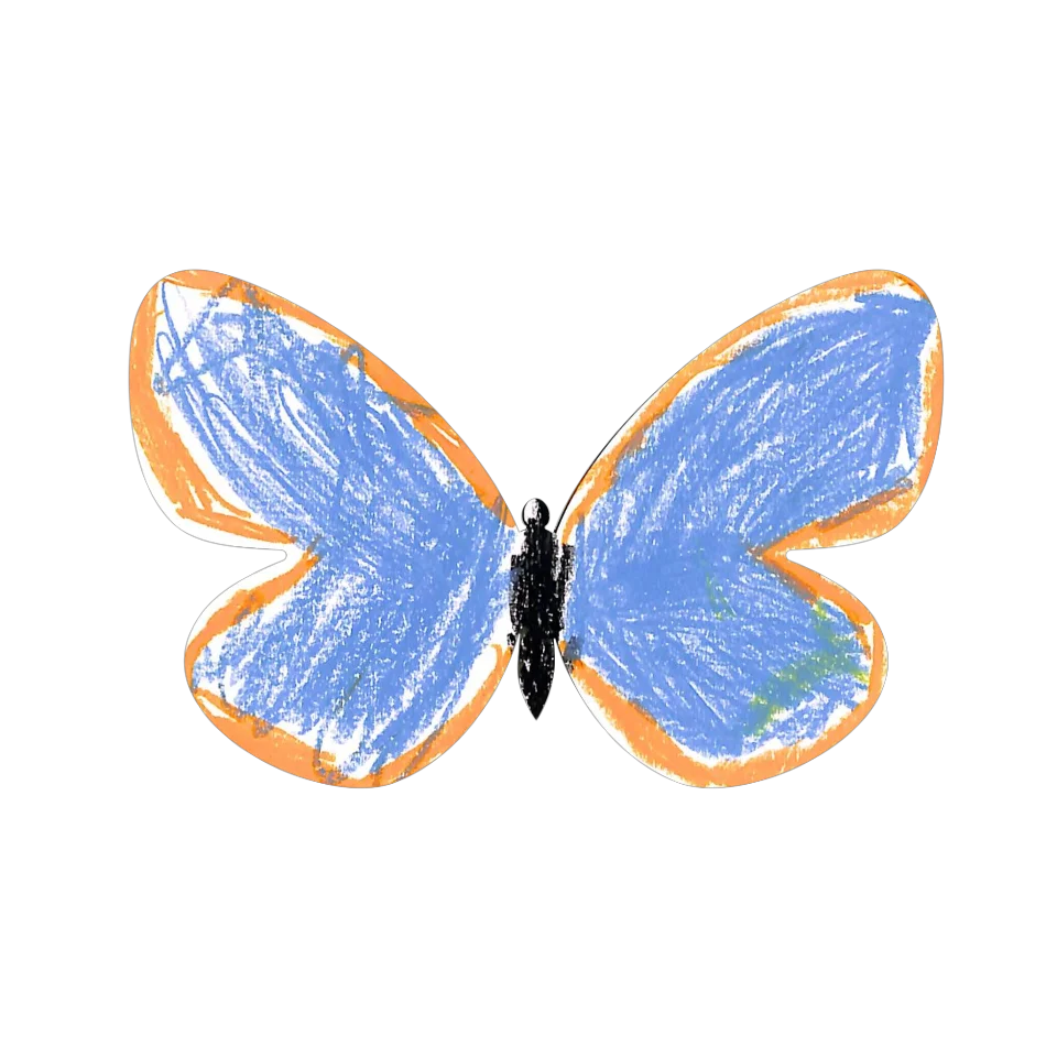 Original Butterfly Image