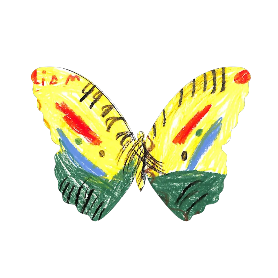 Original Butterfly Image