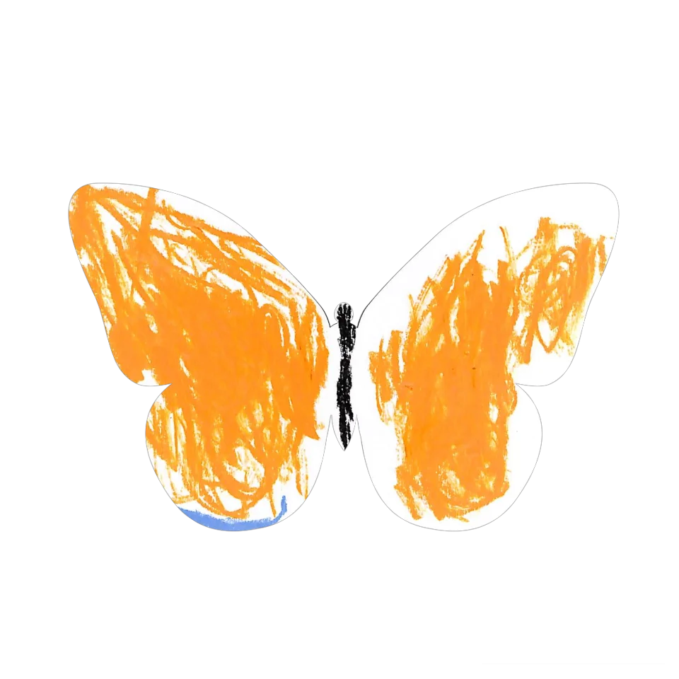 Original Butterfly Image