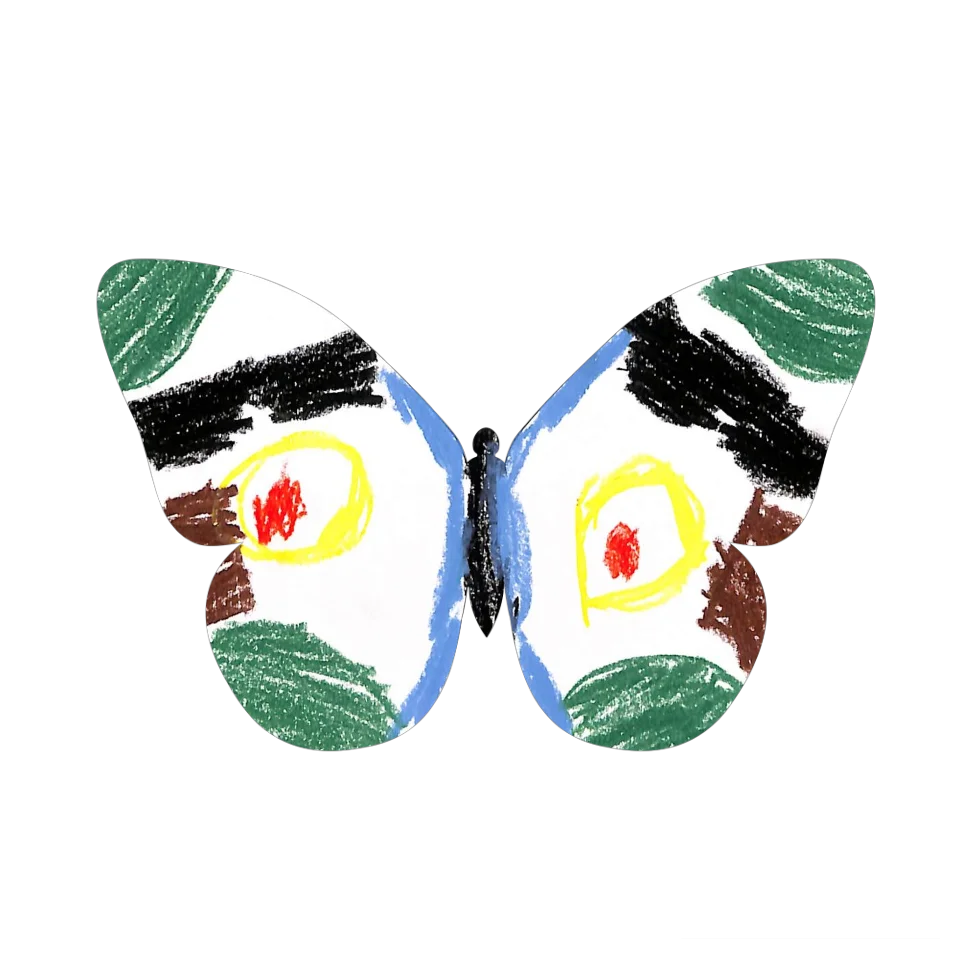 Original Butterfly Image