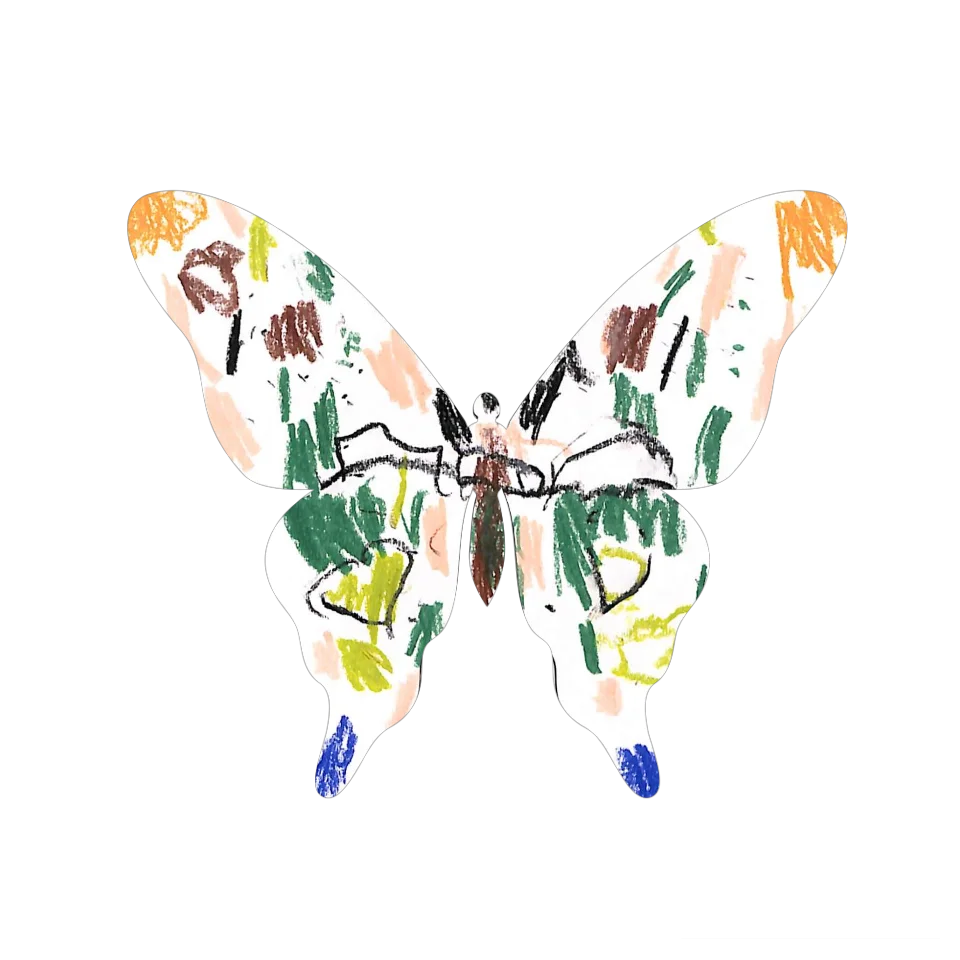 Original Butterfly Image