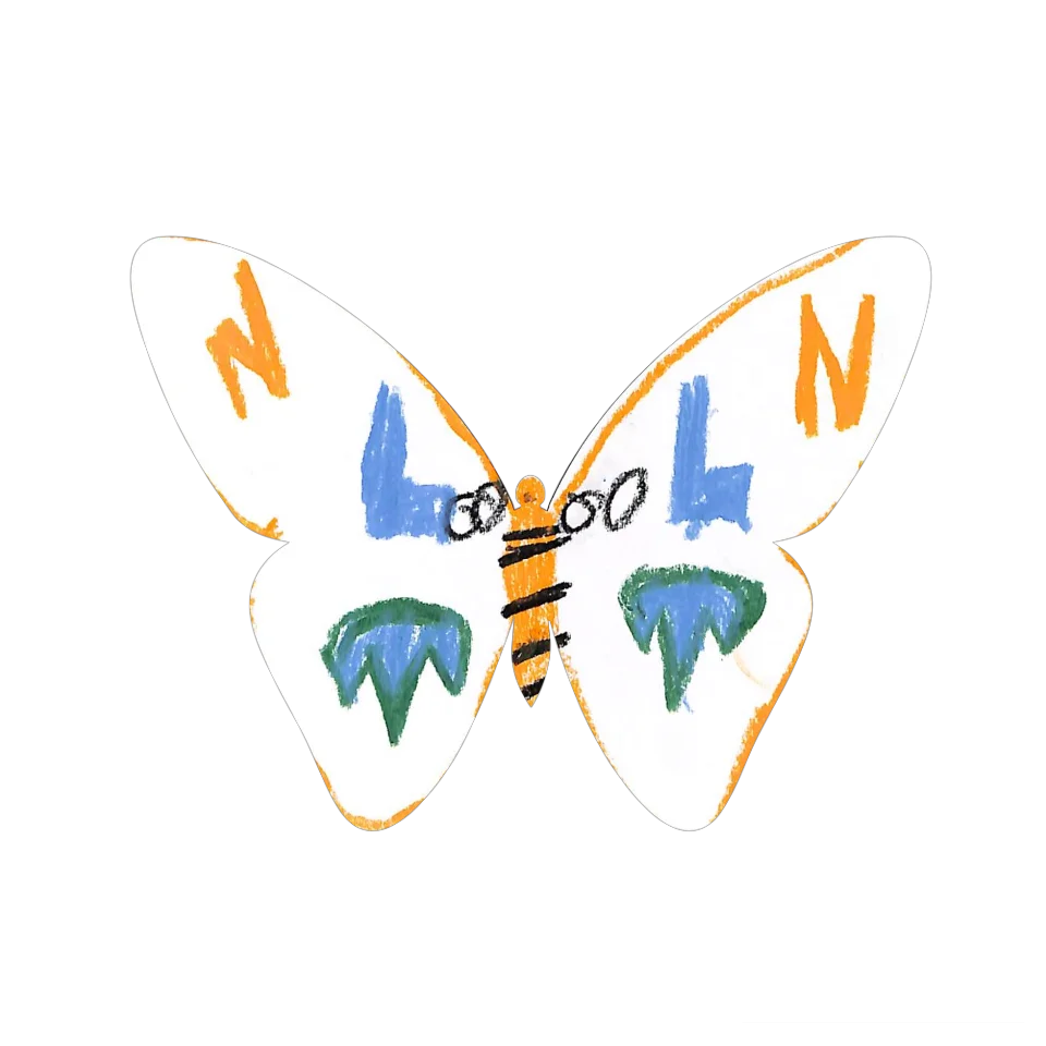 Original Butterfly Image