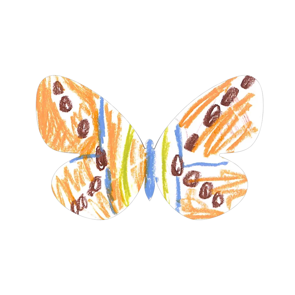 Original Butterfly Image