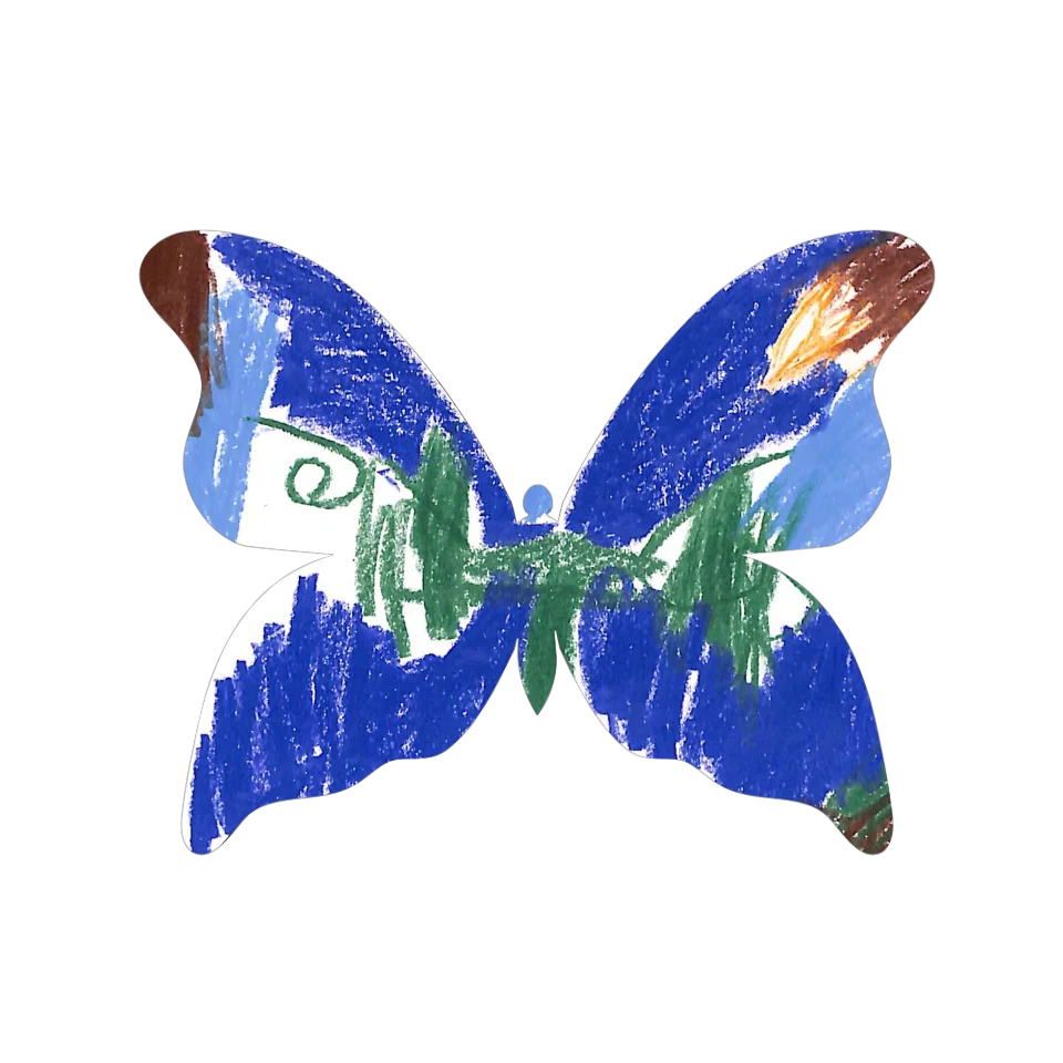Original Butterfly Image