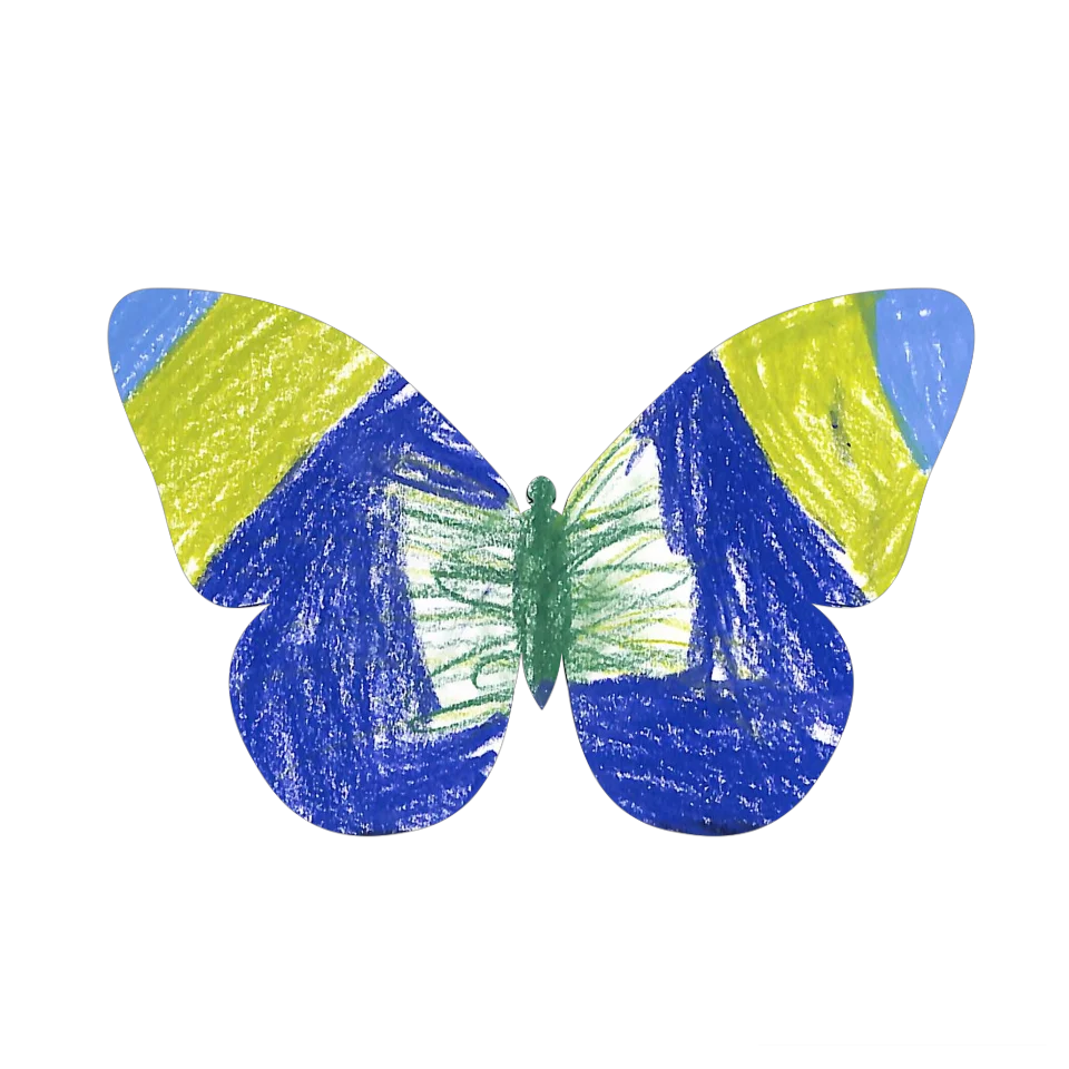 Original Butterfly Image