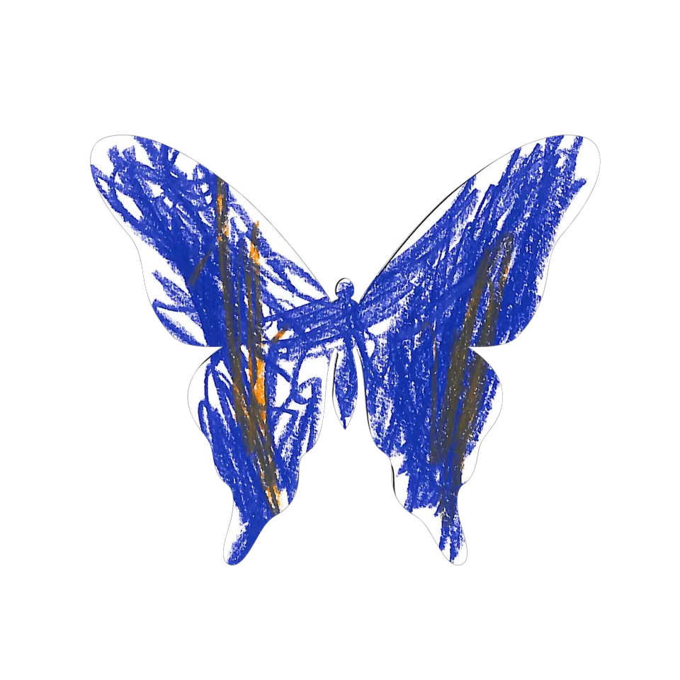 Original Butterfly Image