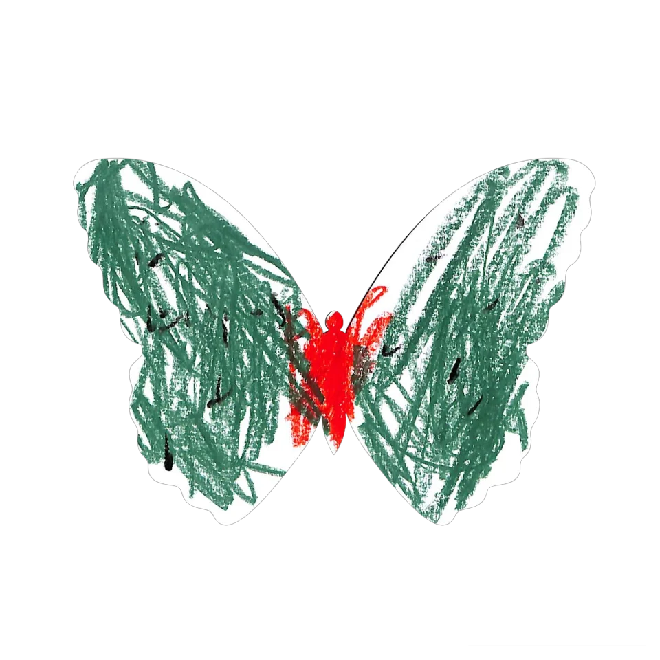 Original Butterfly Image