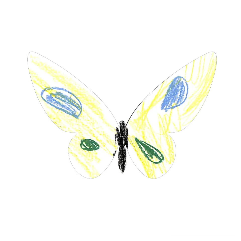 Original Butterfly Image