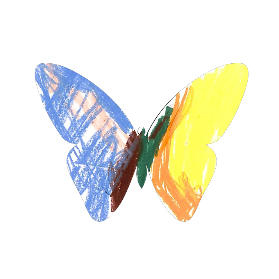 Original Butterfly Image