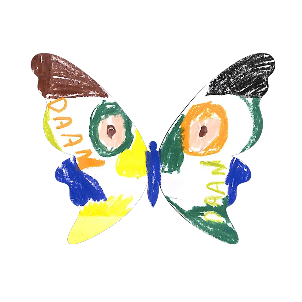 Original Butterfly Image