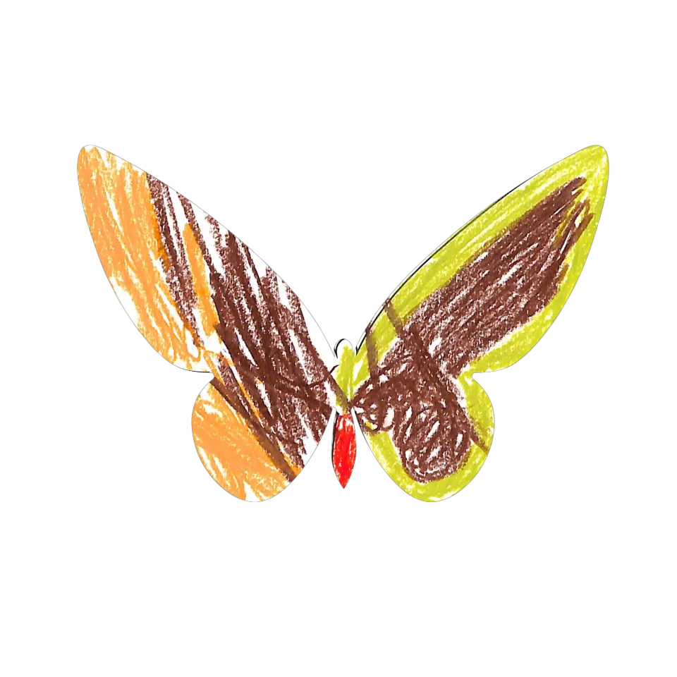 Original Butterfly Image