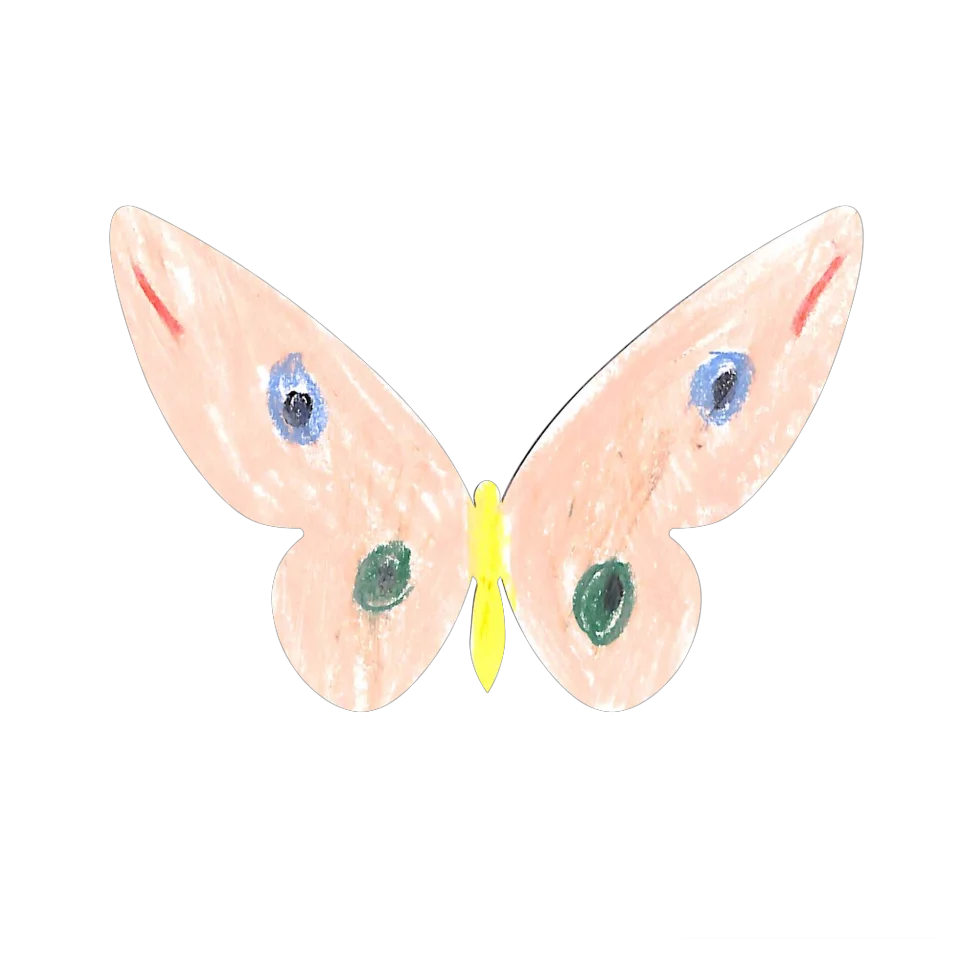 Original Butterfly Image