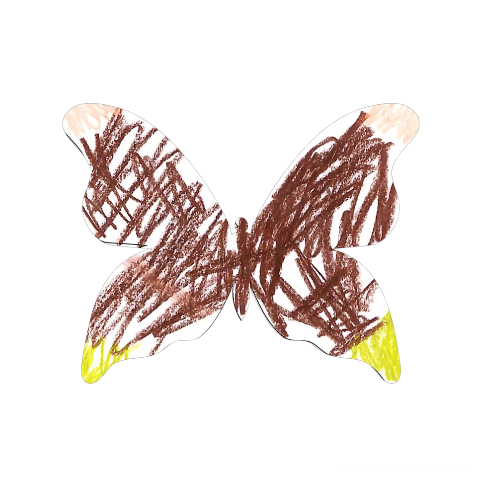 Original Butterfly Image