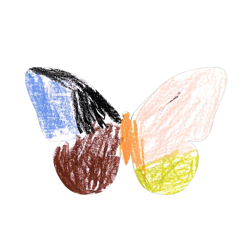 Original Butterfly Image