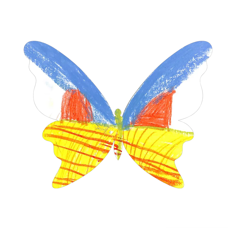 Original Butterfly Image