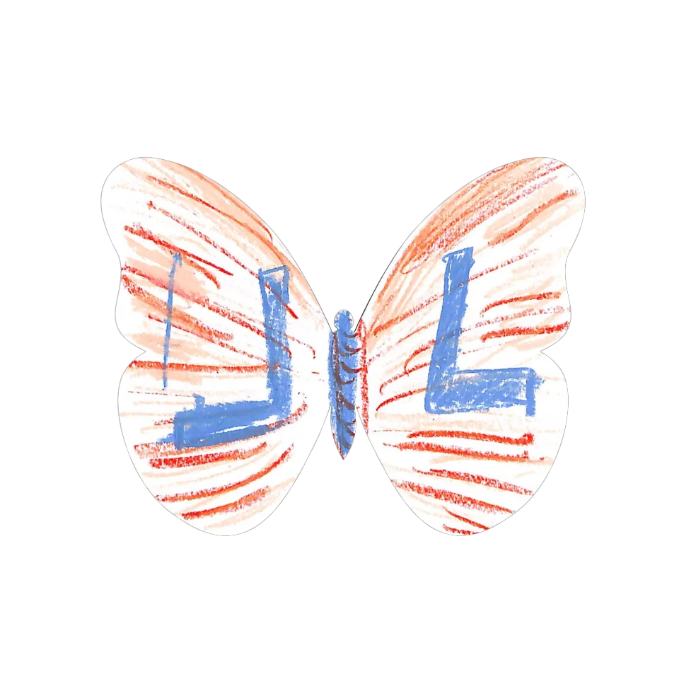 Original Butterfly Image