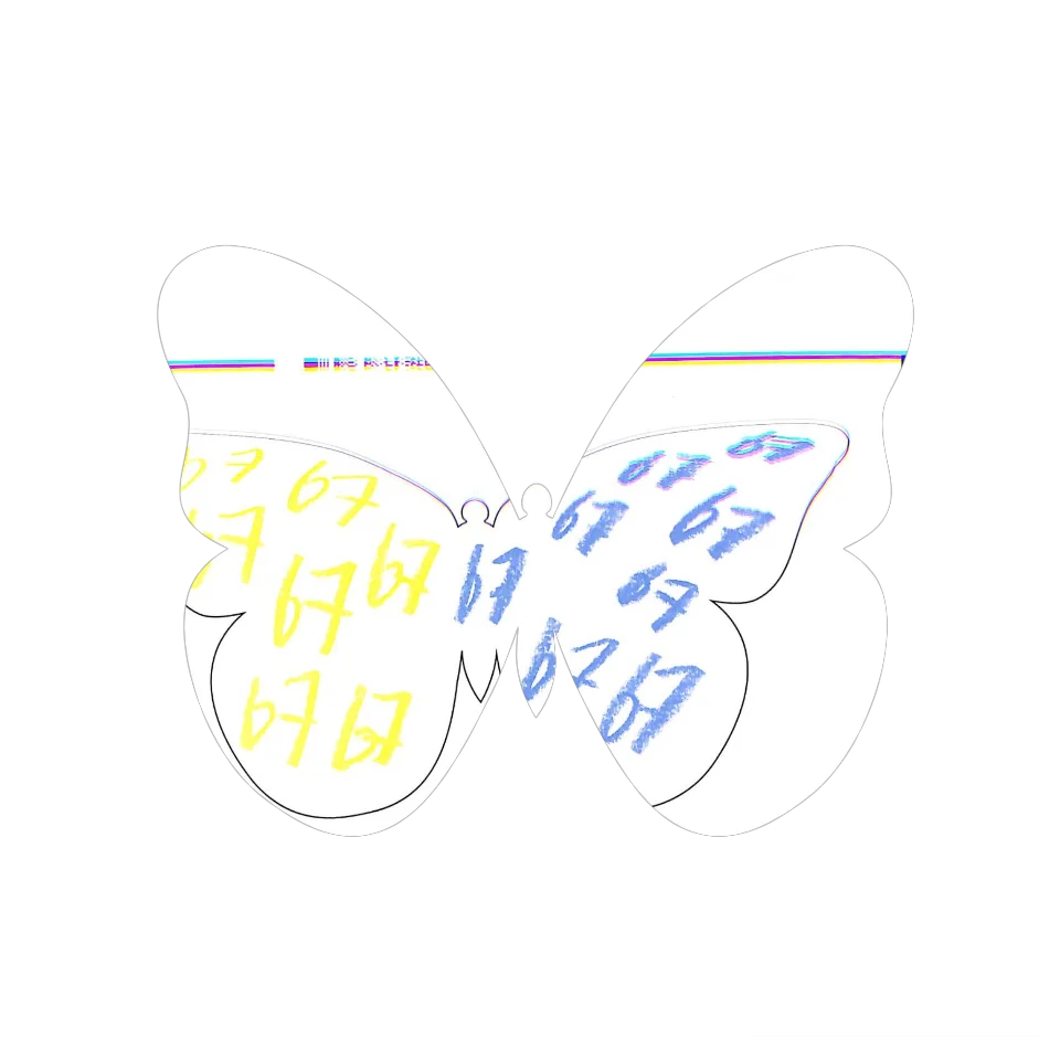 Original Butterfly Image