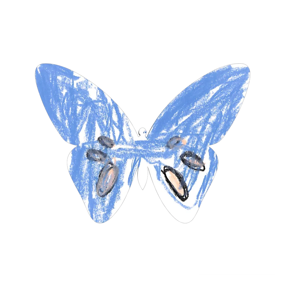 Original Butterfly Image
