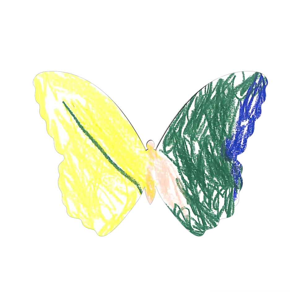 Original Butterfly Image