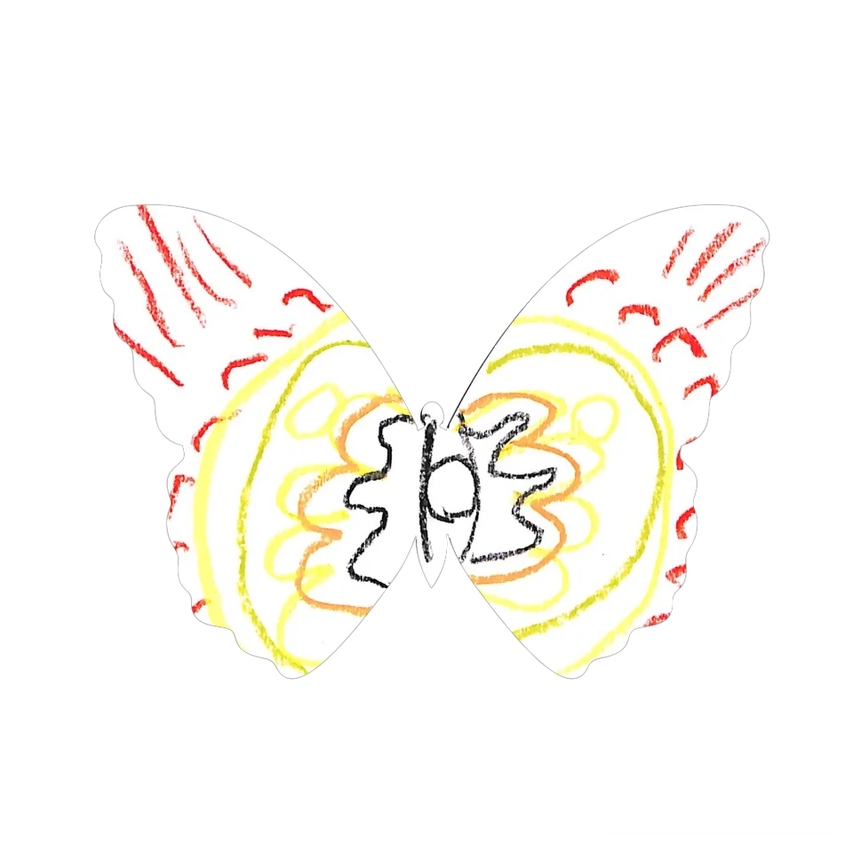 Original Butterfly Image