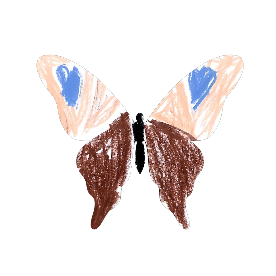 Original Butterfly Image