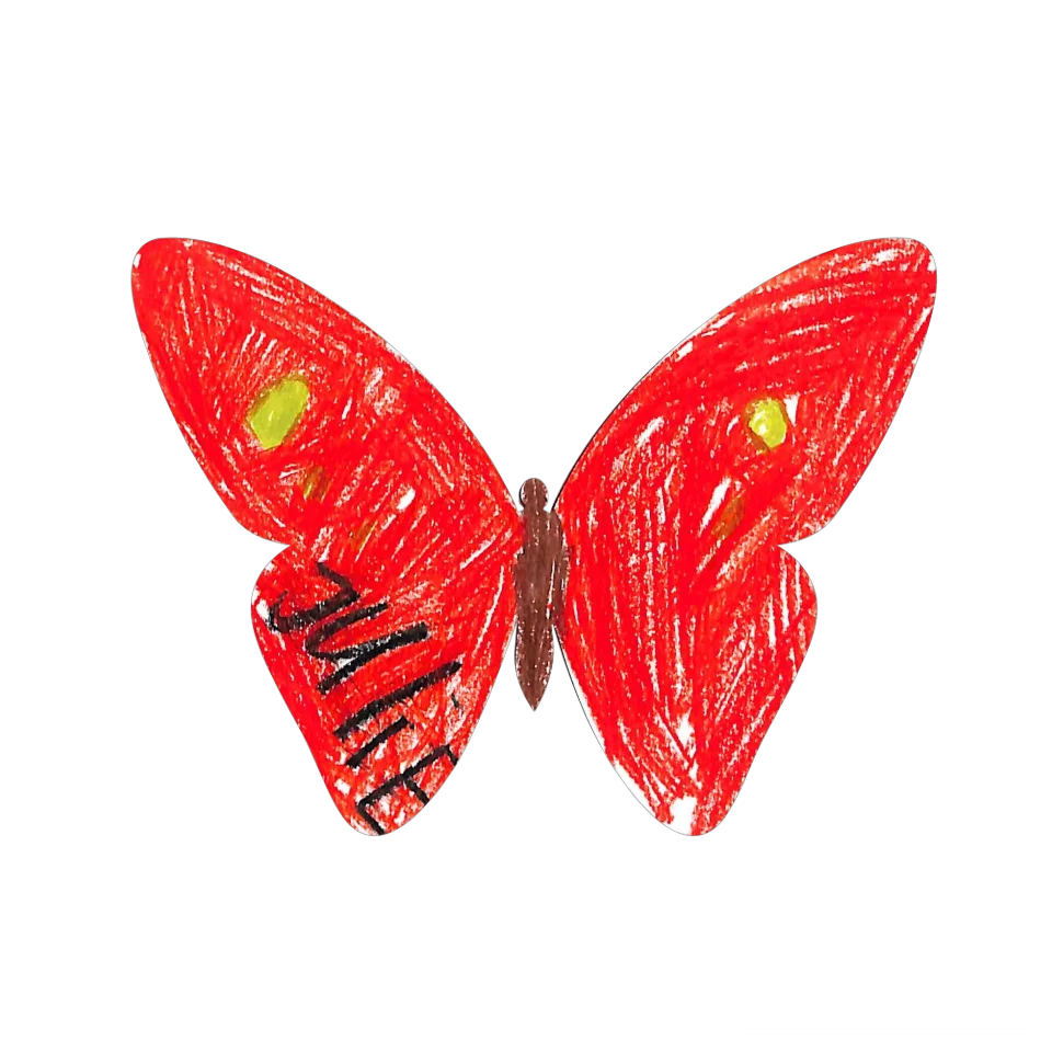 Original Butterfly Image
