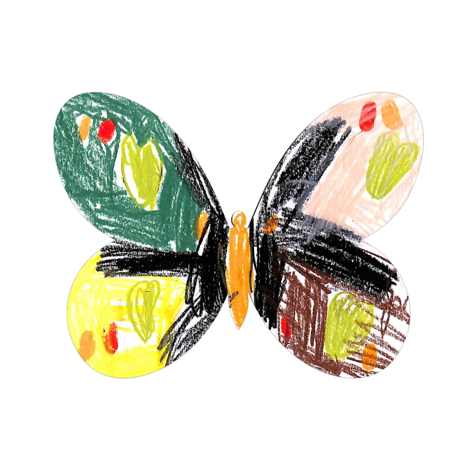 Original Butterfly Image