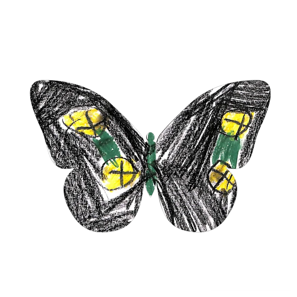 Original Butterfly Image