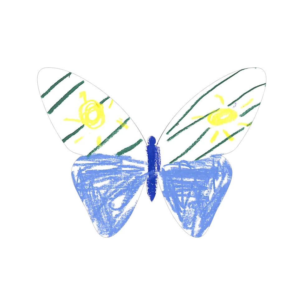 Original Butterfly Image