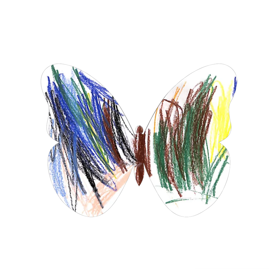 Original Butterfly Image