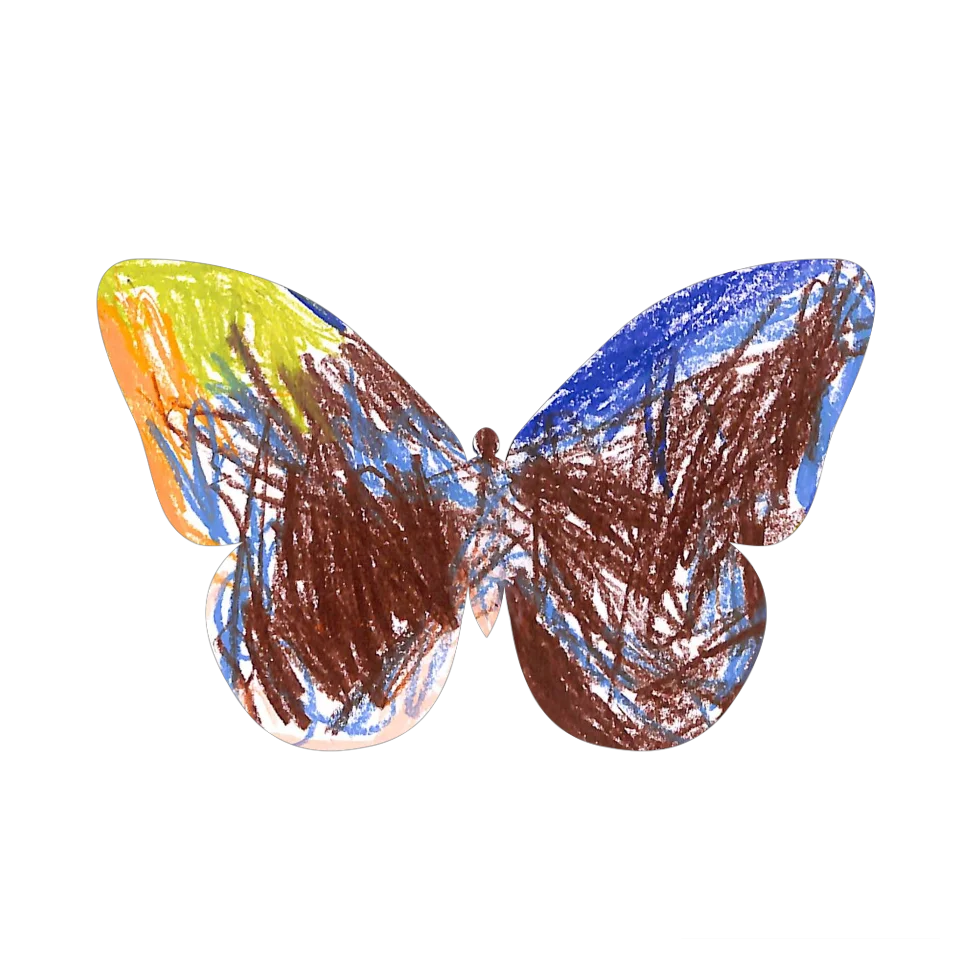 Original Butterfly Image
