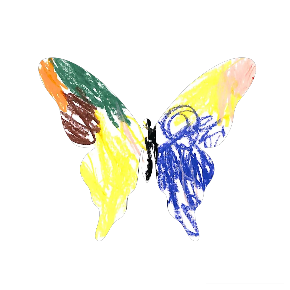 Original Butterfly Image