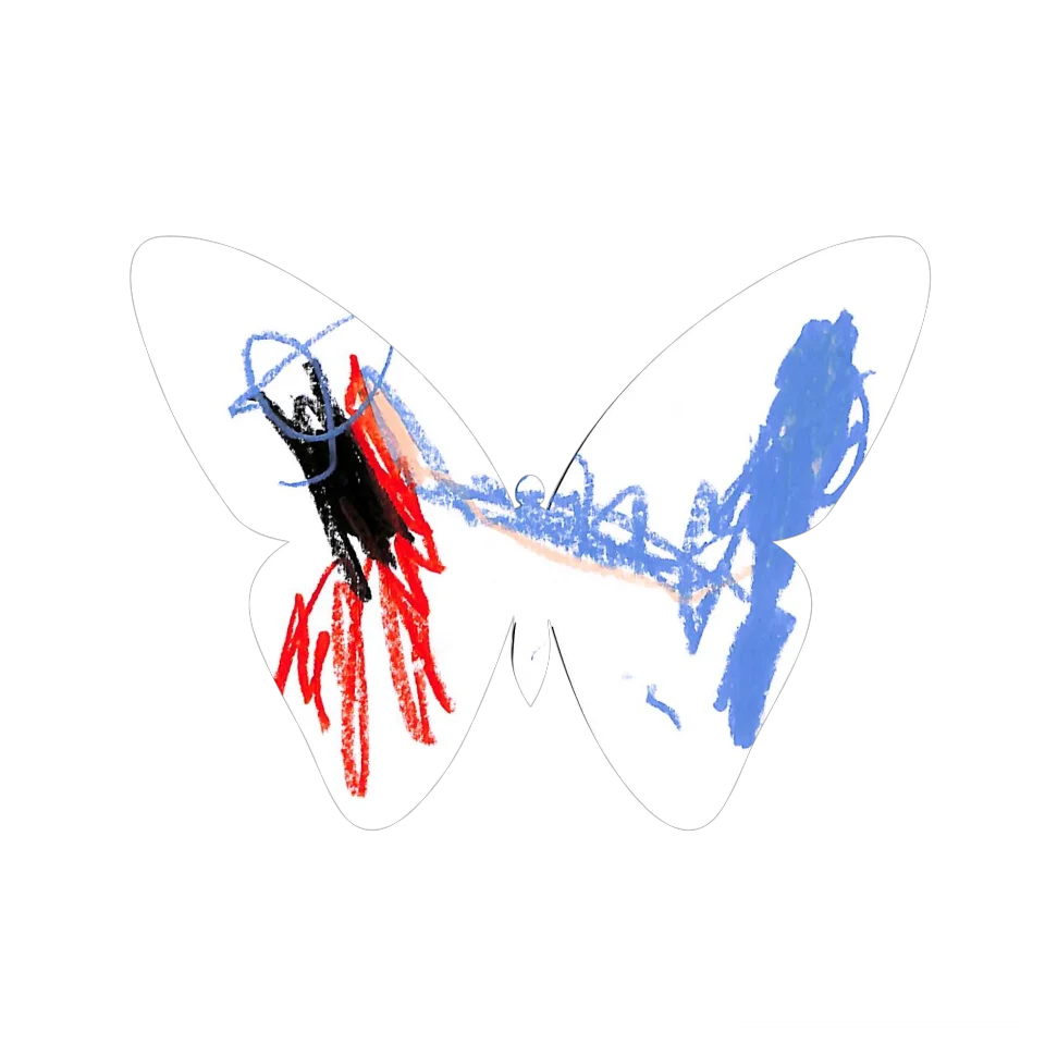 Original Butterfly Image