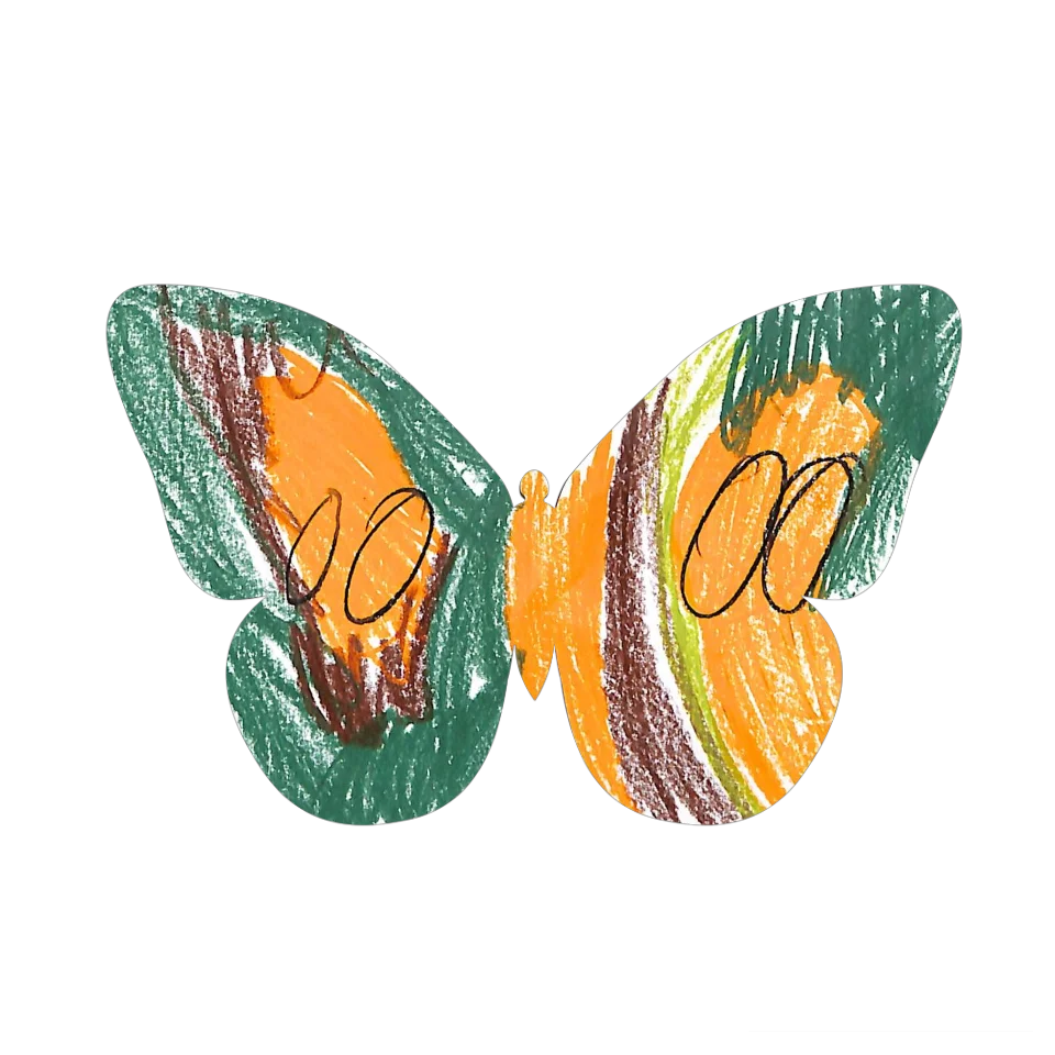 Original Butterfly Image
