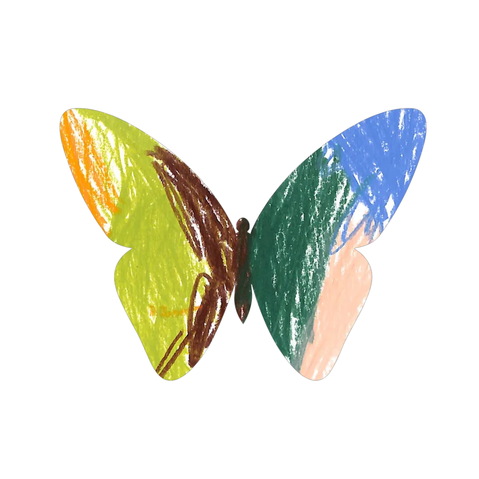 Original Butterfly Image